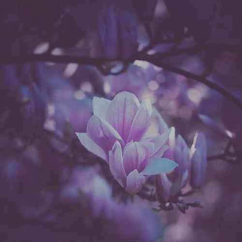 امیر رضایی و حسن جعفری چقد امشب دلم واسه تو پر میزنه